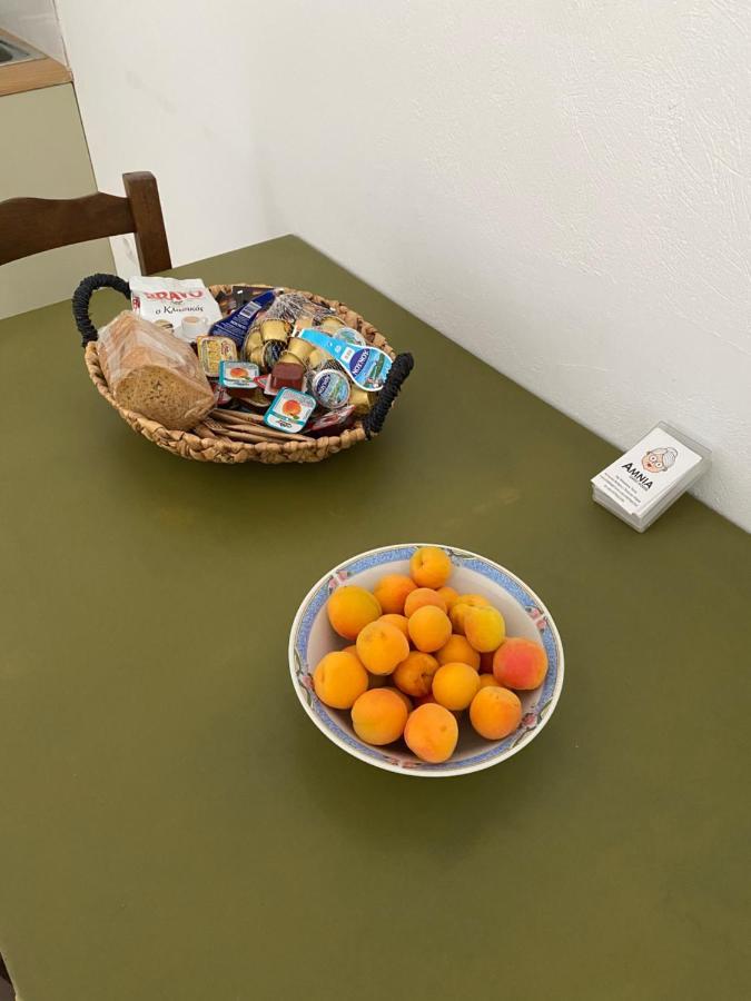 Ferienwohnung Amnia Agios Romanos Exterior foto